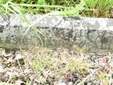 image of grave number 719670